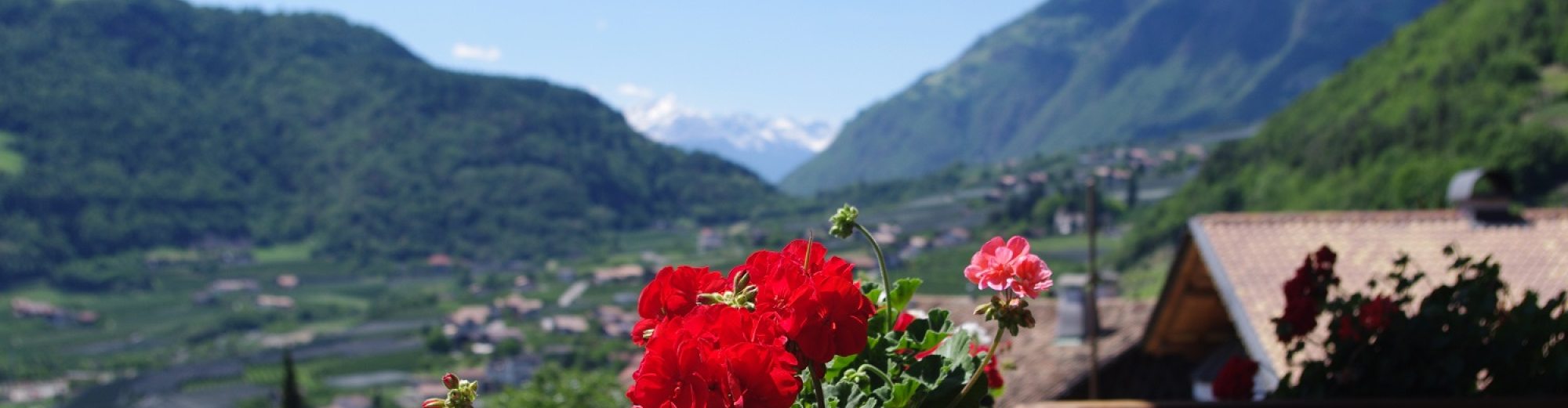 Spisshof Suedtirol