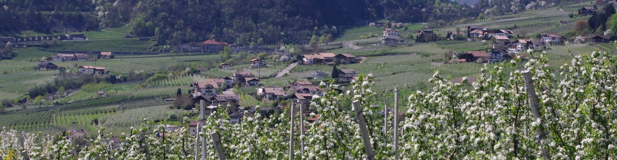 Spisshof Suedtirol