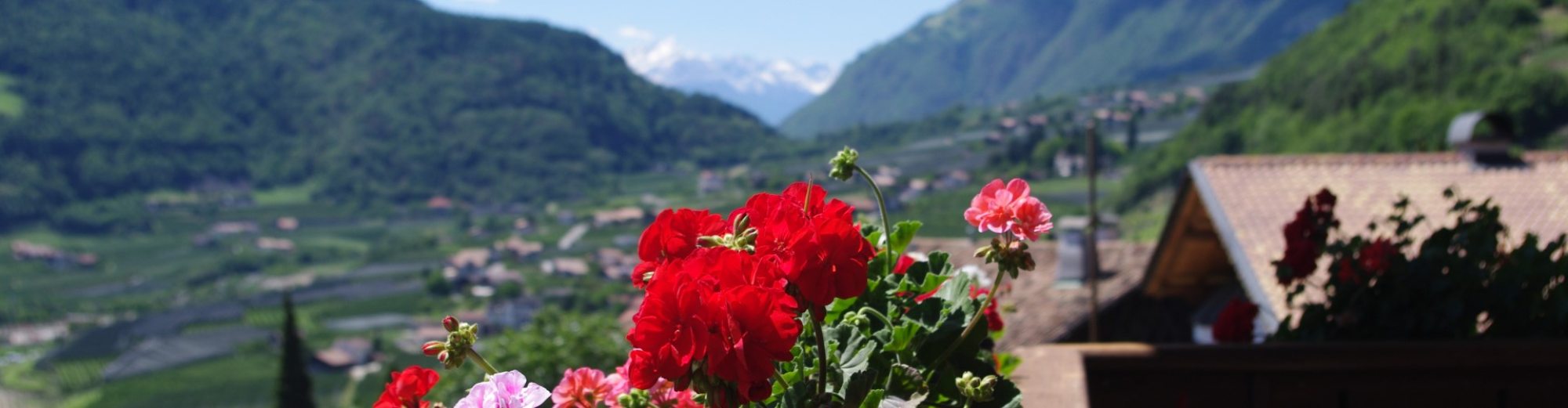 Spisshof Suedtirol