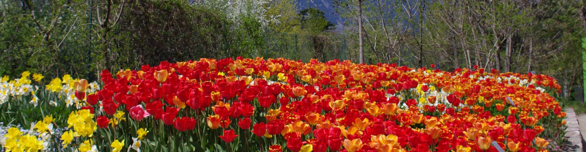 Spisshof Suedtirol