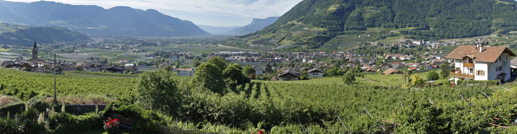 Spisshof Suedtirol
