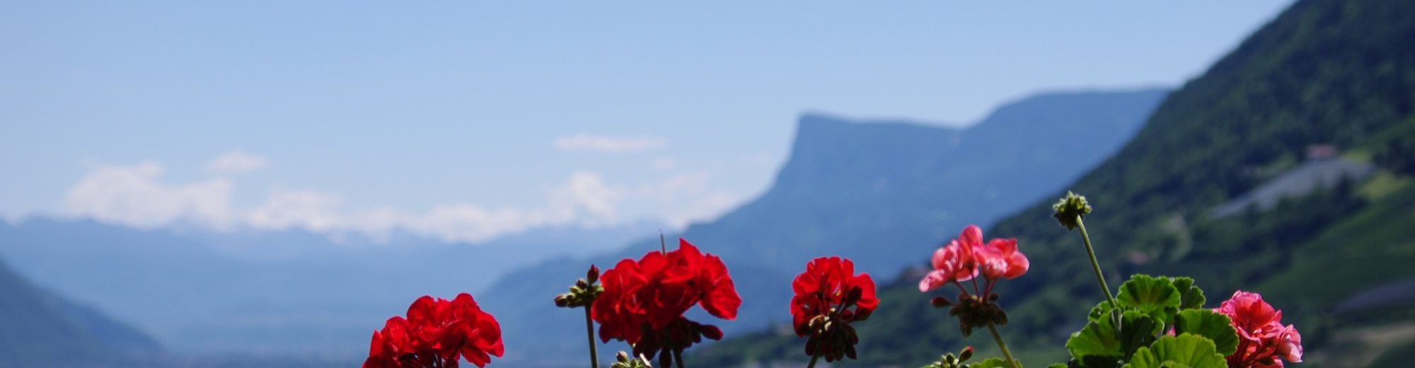 Spisshof Suedtirol