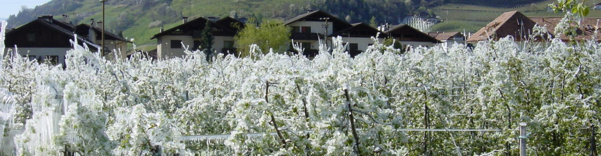 Spisshof Suedtirol